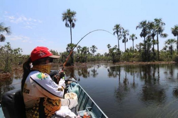 Pescaria no visual: emoção desde o arremesso , utilizar a visão para pegar o peixe nos proporciona um prazer a mais