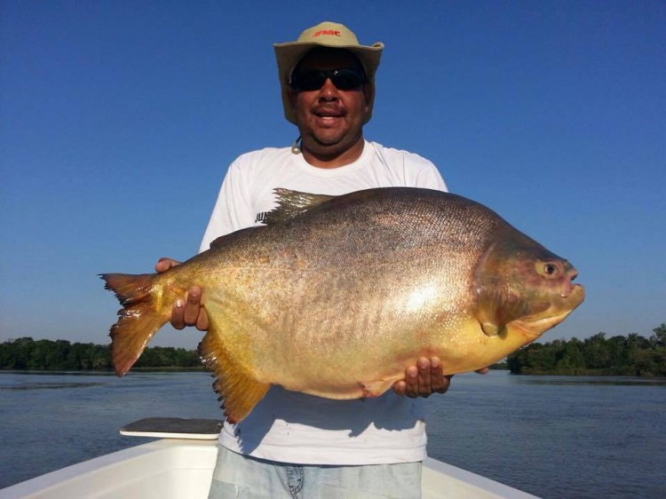 Pescaria na Argentina, em Corrientes no norte argentino