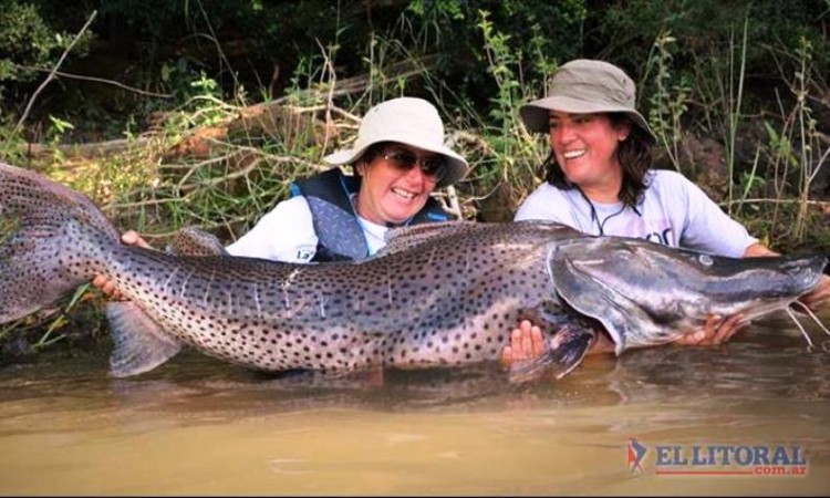 Surubí gigante de 80kilos capturado em Itati, Puerto Rzepeck