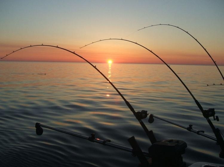 Dez dicas de como realizar uma pesca noturna com sucesso 